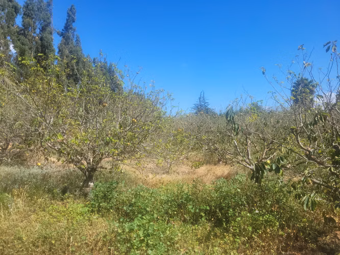 Se vende parcela de agrado 5.000 m2