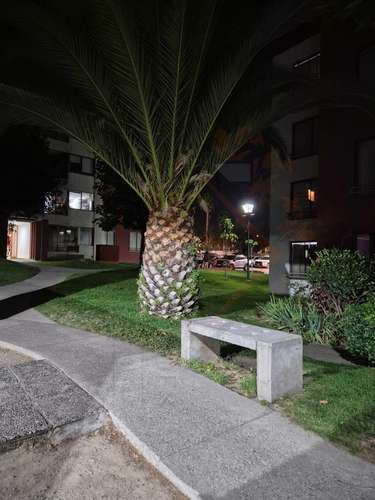 2 dormitorios, 2 baños + 1 estacionamiento (187307) - Imagen 24