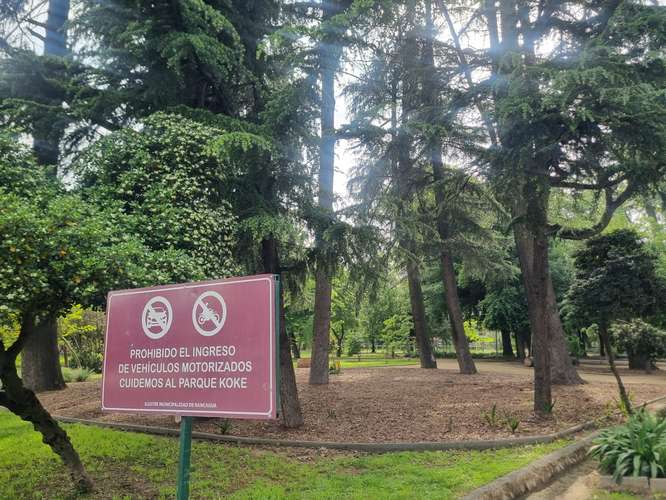 Vive en un parque en plaena ciudad, Parque Koke