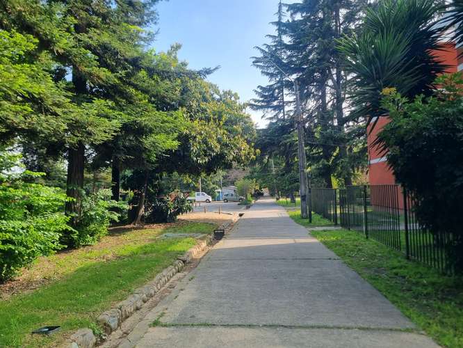 Vive en un parque en plaena ciudad, Parque Koke - Imagen 3