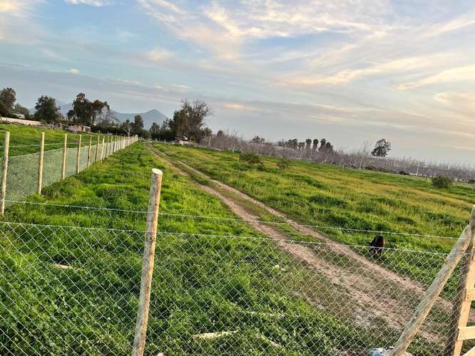 Exclusiva parcela en Viñas de Chacabuco – Naturaleza, tranquilidad y alta plusvalía en Colina