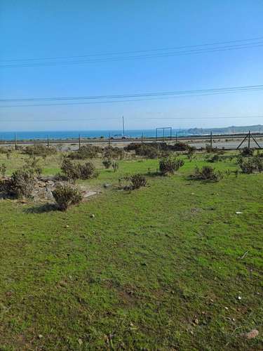 Parcela en Quilimari Pichidangui (187309) - Imagen 17