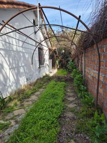 AMPLIO TERRENO CON CASA (187312) - Imagen 26