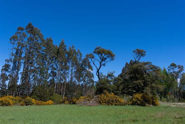 Parcela en venta en Puerto Varas - Imagen 4