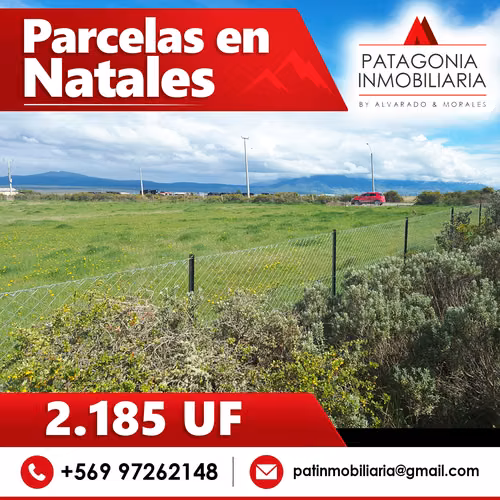 PARCELAS EN CAMINO 3, NATALES