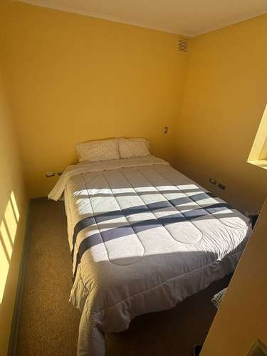 Departamento Errazuriz, Valdivia - Imagen 13