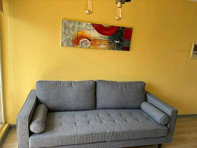 Departamento Errazuriz, Valdivia - Imagen 9