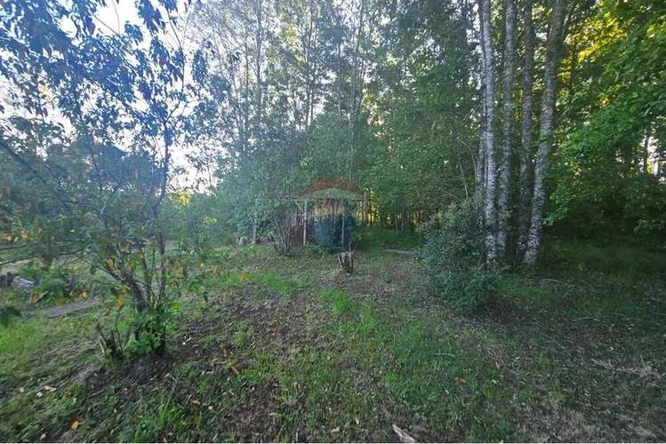 Hermosa Casa En Parcela Con Bosque Nativo