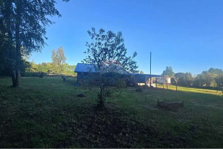 Hermosa Casa En Parcela Con Bosque Nativo