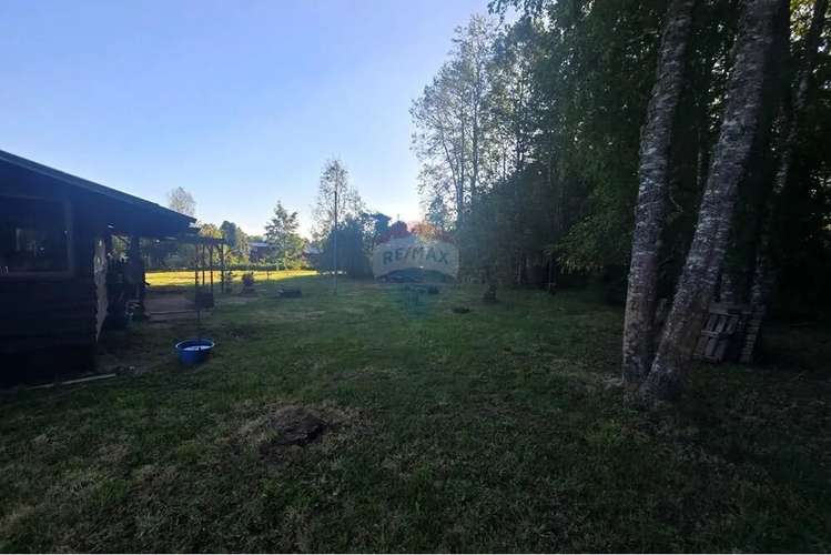 Hermosa Casa En Parcela Con Bosque Nativo