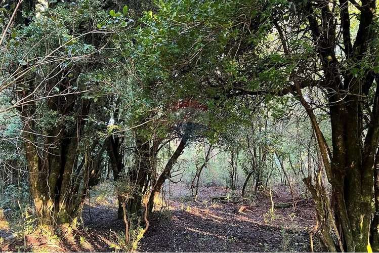 En Venta Casa En Terreno En Pucón - Imagen 27
