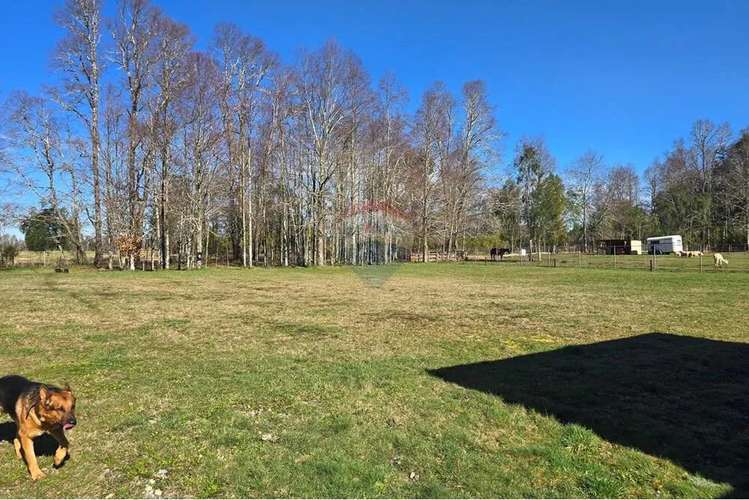 Venta Parcela Con Casa Y Dos Cabañas Gran Terreno