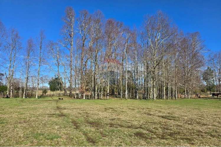 Venta Parcela Con Casa Y Dos Cabañas Gran Terreno