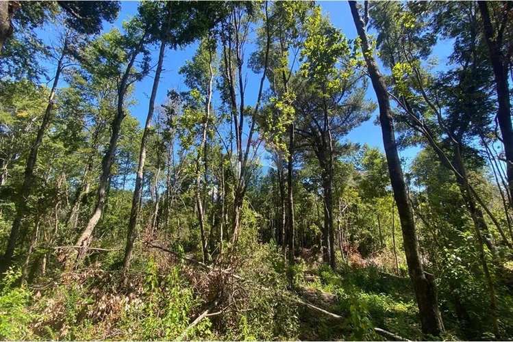 Venta Parcelas Con Vista Al Volcán Y Acceso A Rio - Imagen 22