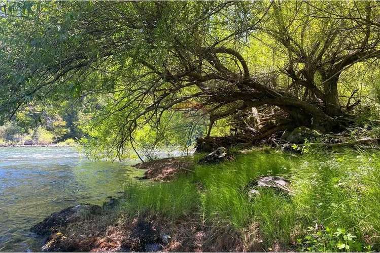 Venta Parcelas Con Vista Al Volcán Y Acceso A Rio - Imagen 23