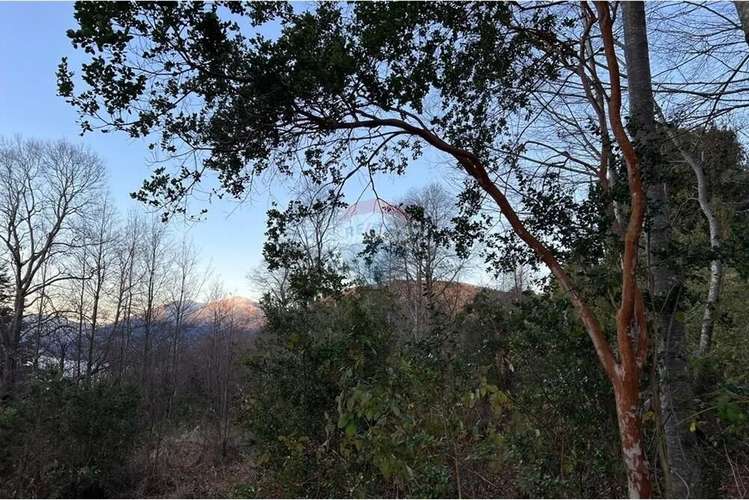 Venta Parcelas Con Vista Al Volcán Y Acceso A Rio - Imagen 9