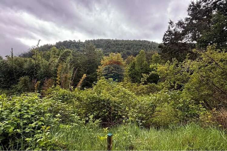 Venta Terreno 1 Ha En Huerquehue
