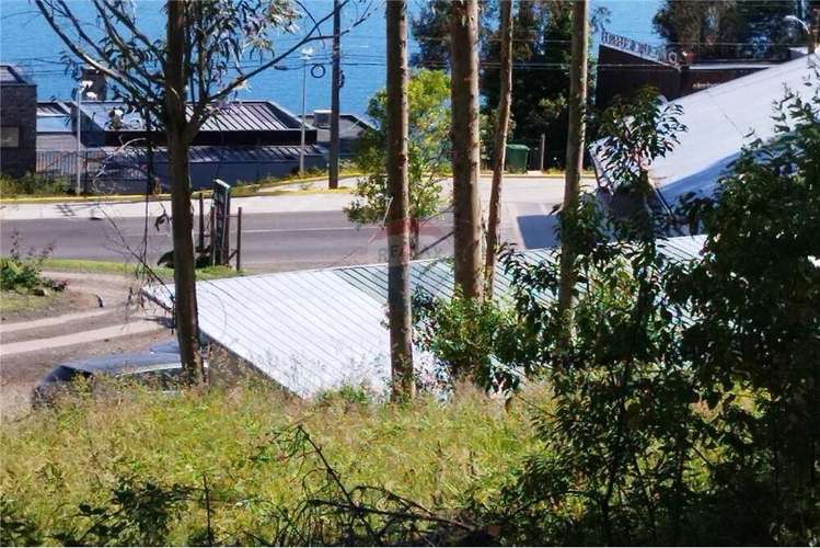 Venta Terreno A Orilla De Carretera Pucón