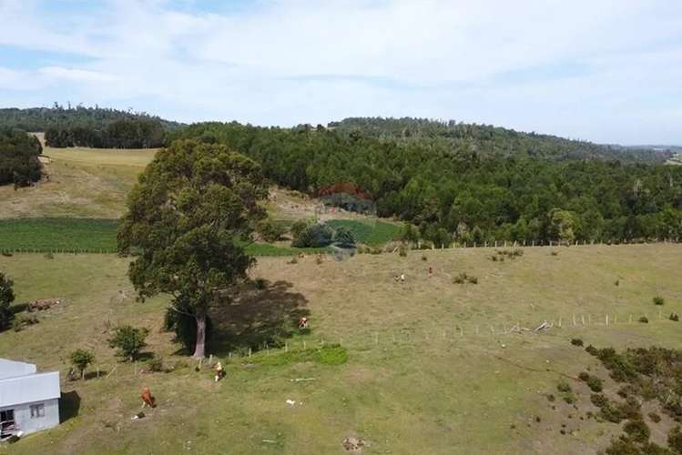 Venta Parcelas Estaquilla Puerto Varas - Imagen 3