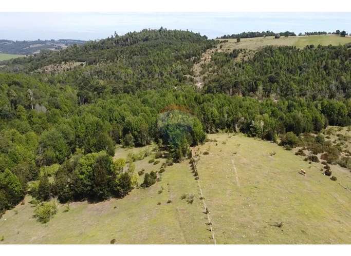 Venta Parcelas Estaquilla Puerto Varas - Imagen 17