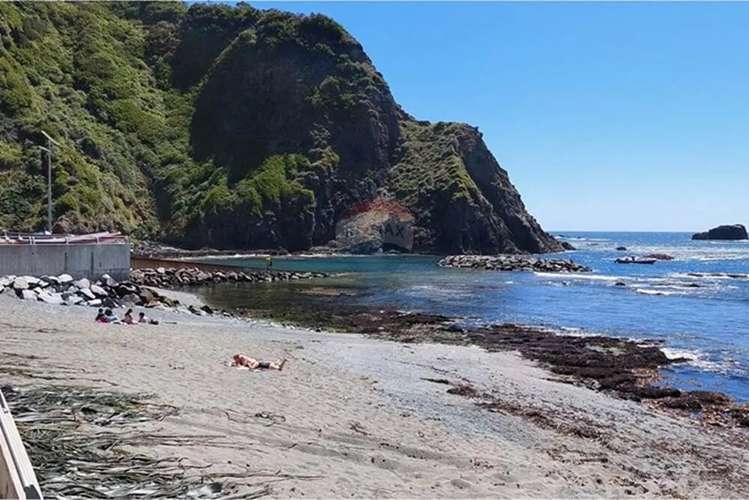 Venta Parcelas Estaquilla Puerto Varas - Imagen 7