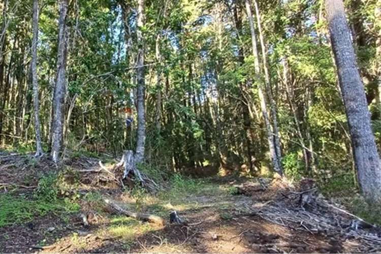 Parcela En Venta - Condominio Bosque Pucón - Imagen 20