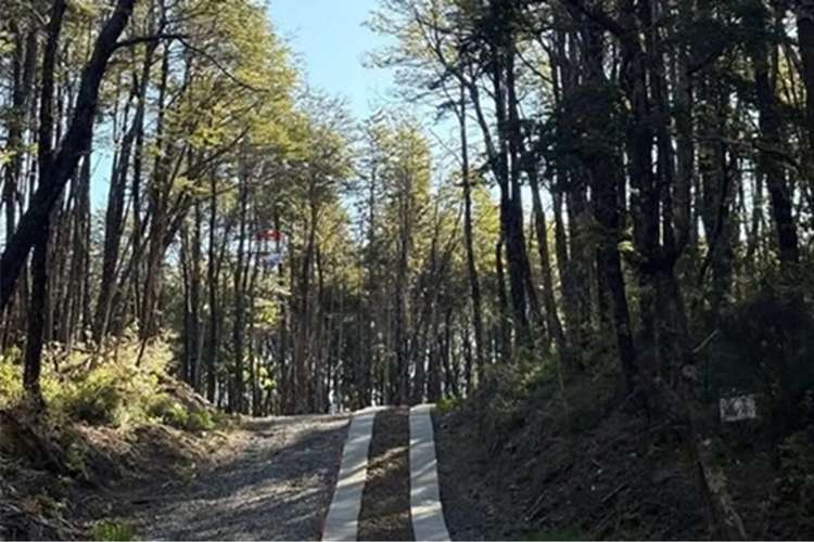 Parcela En Venta - Condominio Bosque Pucón - Imagen 24