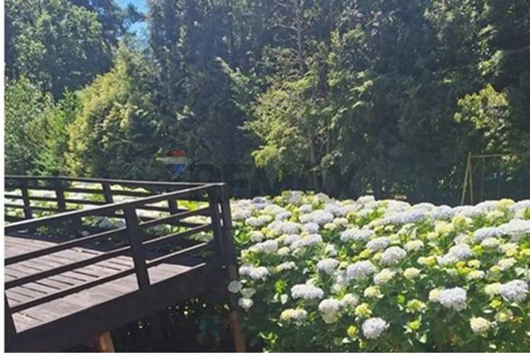 Casa En Venta En Caburgua, Pucón