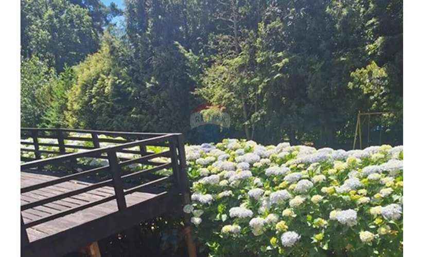 Casa En Venta En Caburgua, Pucón