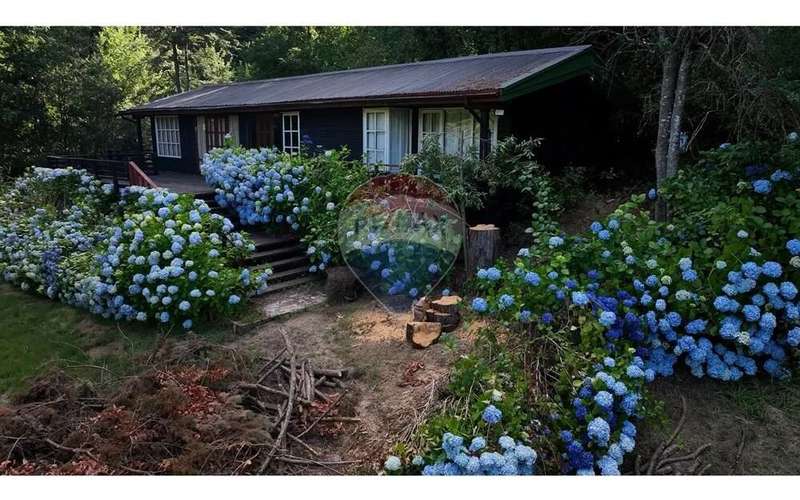 Casa En Venta En Caburgua, Pucón