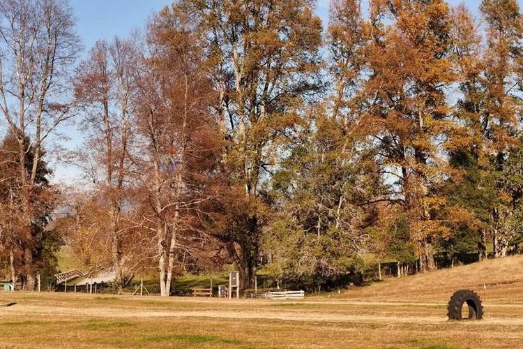 Venta Terreno 5.000 Mts2 Villarrica -pucón