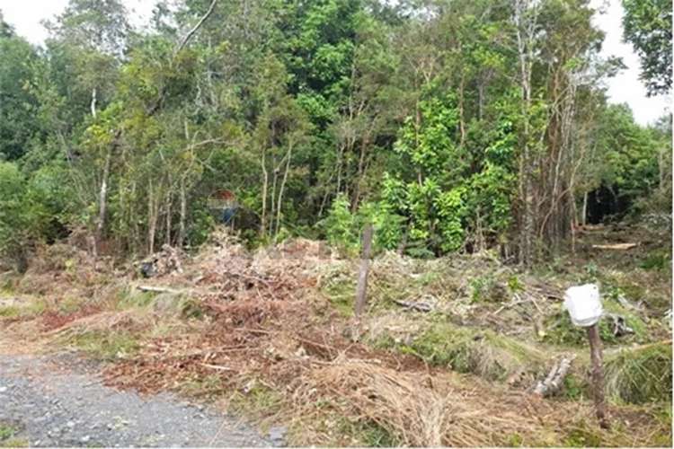 Venta Parcela En Riñinahue, Lago Ranco