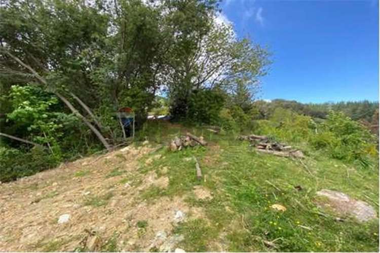 Venta Parcela 5000 Mts2 Valdivia - Imagen 15