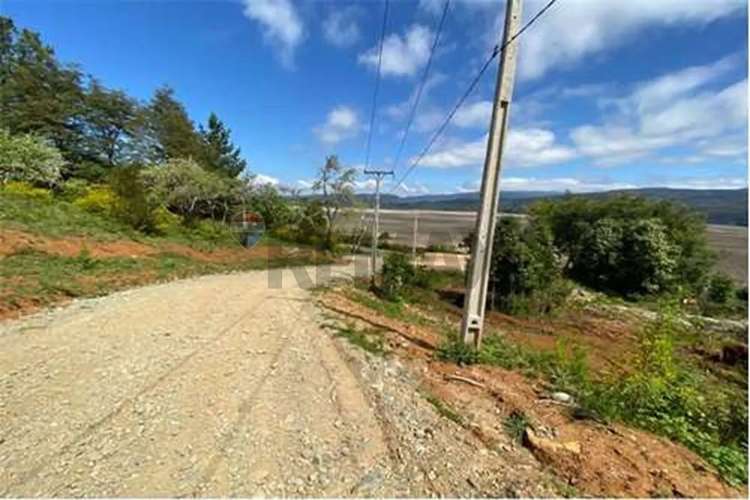 Venta Parcela 5000 Mts2 Valdivia - Imagen 19