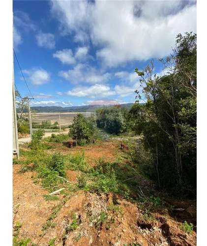 Venta Parcela 5000 Mts2 Valdivia - Imagen 12
