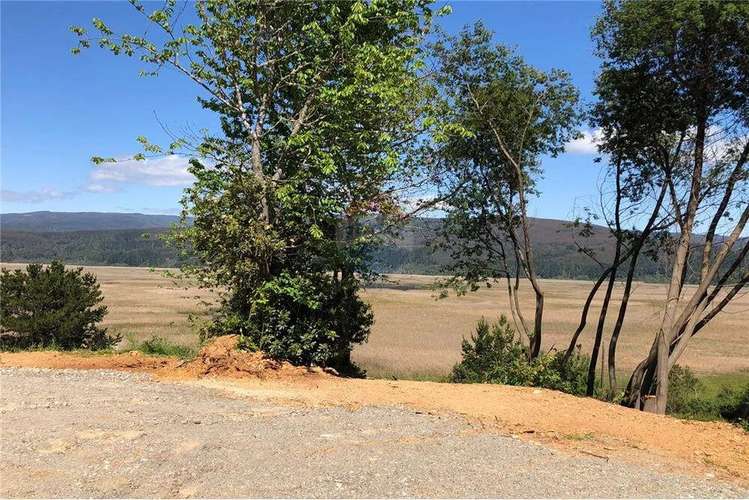 Venta Parcela 5000 Mts2 Valdivia - Imagen 6