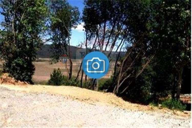 Venta Parcela 5000 Mts2 Valdivia - Imagen 18