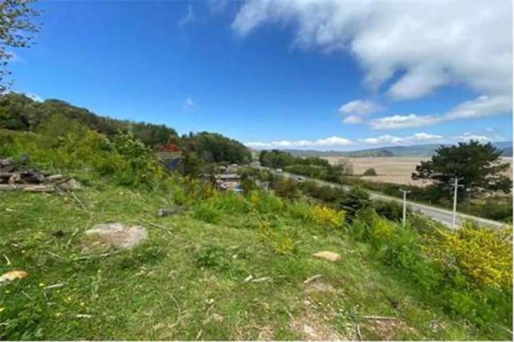 Venta Parcela 5000 Mts2 Valdivia - Imagen 16
