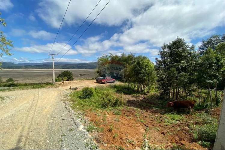 Venta Parcela 5000 Mts2 Valdivia - Imagen 9