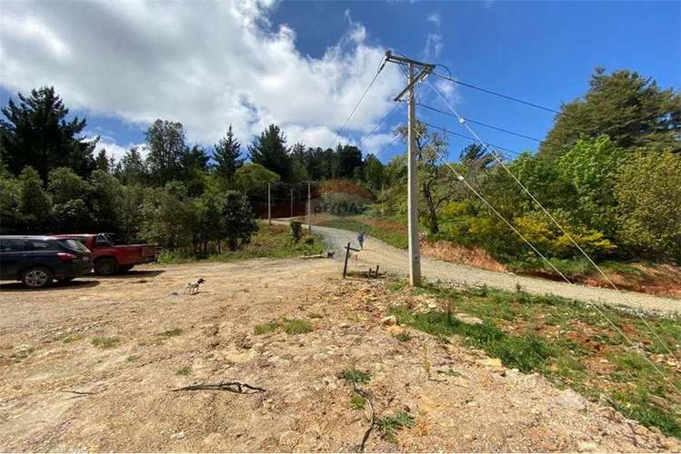 Venta Parcela 5000 Mts2 Valdivia - Imagen 7