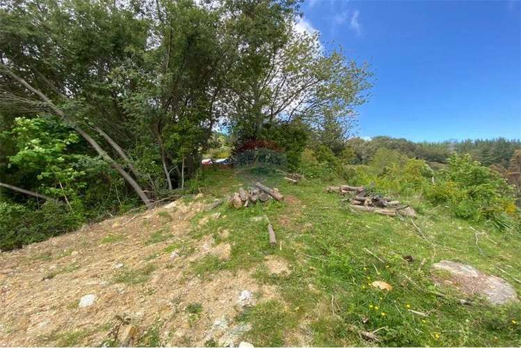 Venta Parcela 5000 Mts2 Valdivia