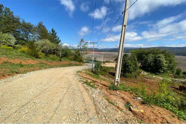 Venta Parcela 5000 Mts2 Valdivia - Imagen 4