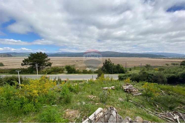 Venta Parcela 5000 Mts2 Valdivia - Imagen 3