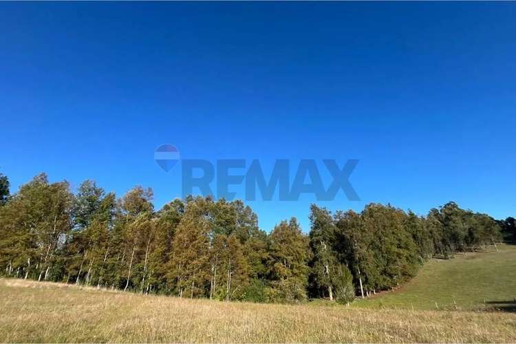 Venta Terreno 5.164 M² Con Vista Al Volcán