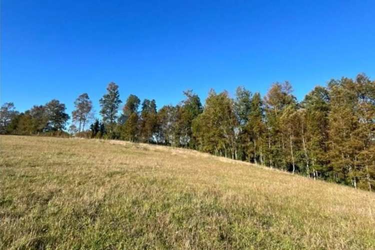 Venta Terreno 5.164 M² Con Vista Al Volcán