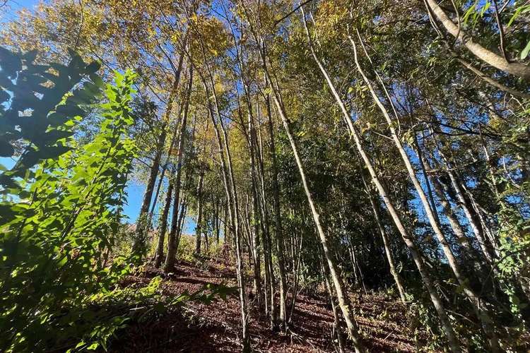 Venta Terreno 5.164 M² Con Vista Al Volcán