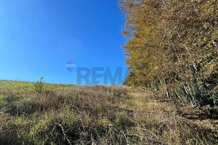 Venta Terreno 5.164 M² Con Vista Al Volcán