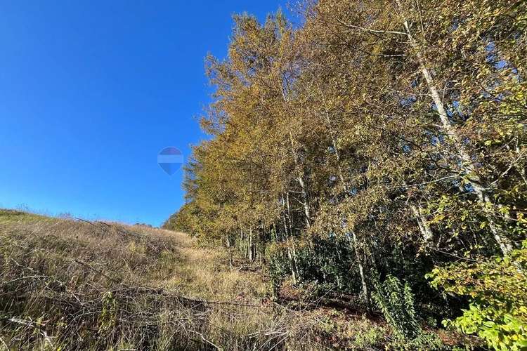 Venta Terreno 5.164 M² Con Vista Al Volcán