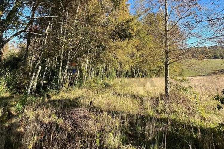 Venta Terreno 5.164 M² Con Vista Al Volcán