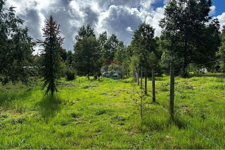 Venta Parcela Pucon 5.000mts2 Segunda Faja - Imagen 13